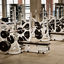 fitness floor at Life Time