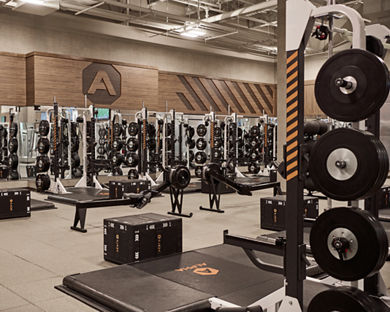 Alpha small group training area on the fitness floor