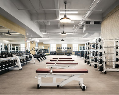 A brightly lit Life Time fitness floor with rows of hand weights, racked barbells and weight benches