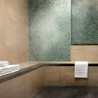 Steamy eucalyptus steam room with towels