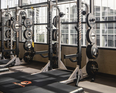 2 Alpha squat racks by a window