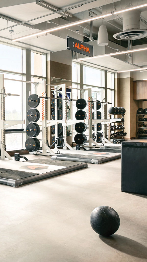 Alpha strength equipment on the fitness floor at Life Time