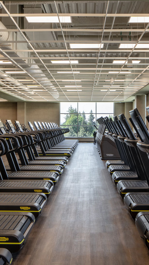 Rows of uniformly placed treadmills on the fitness floor at Life Time
