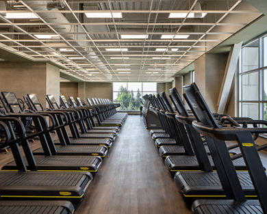 Rows of uniformly placed treadmills on the fitness floor at Life Time