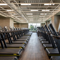 Rows of uniformly placed treadmills on the fitness floor at Life Time