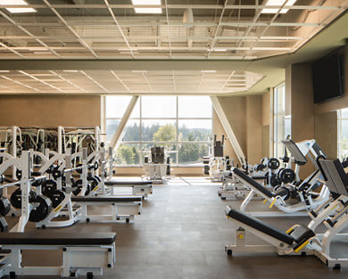 Free weights and strength training machines on the fitness floor at Life Time