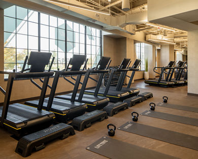 Small group training space on the Life Time fitness floor