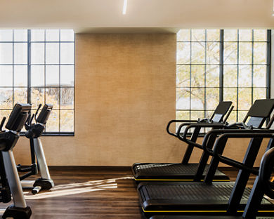 Cardio equipment on the fitness floor at Life Time