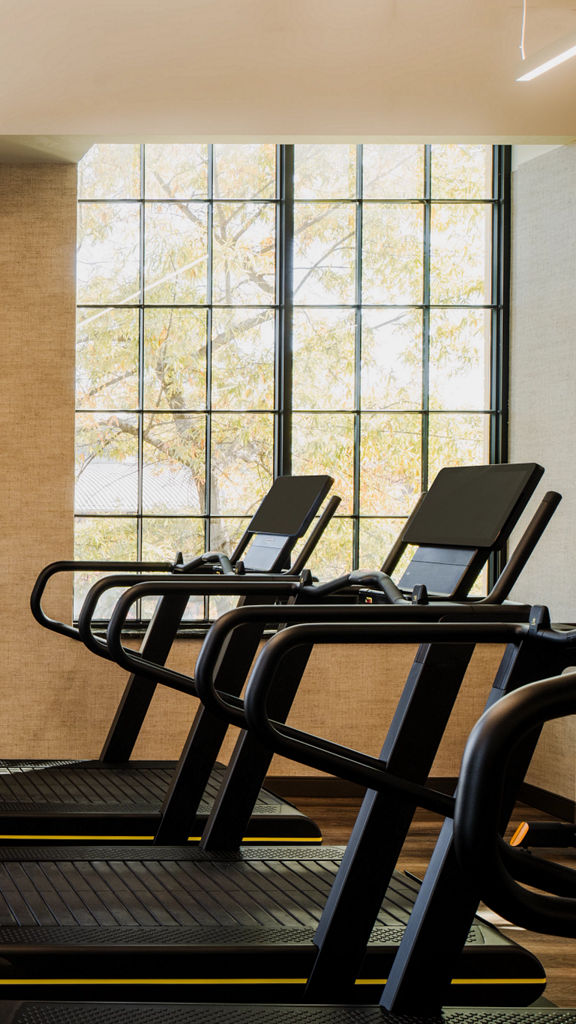 Cardio equipment on the fitness floor at Life Time