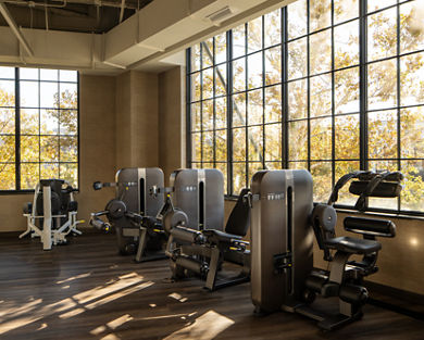 Strength equipment on the fitness floor at Life Time