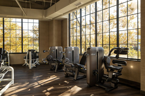 Strength equipment on the fitness floor at Life Time