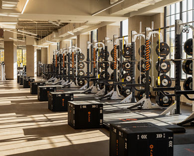 Alpha strength equipment on the fitness floor at Life Time