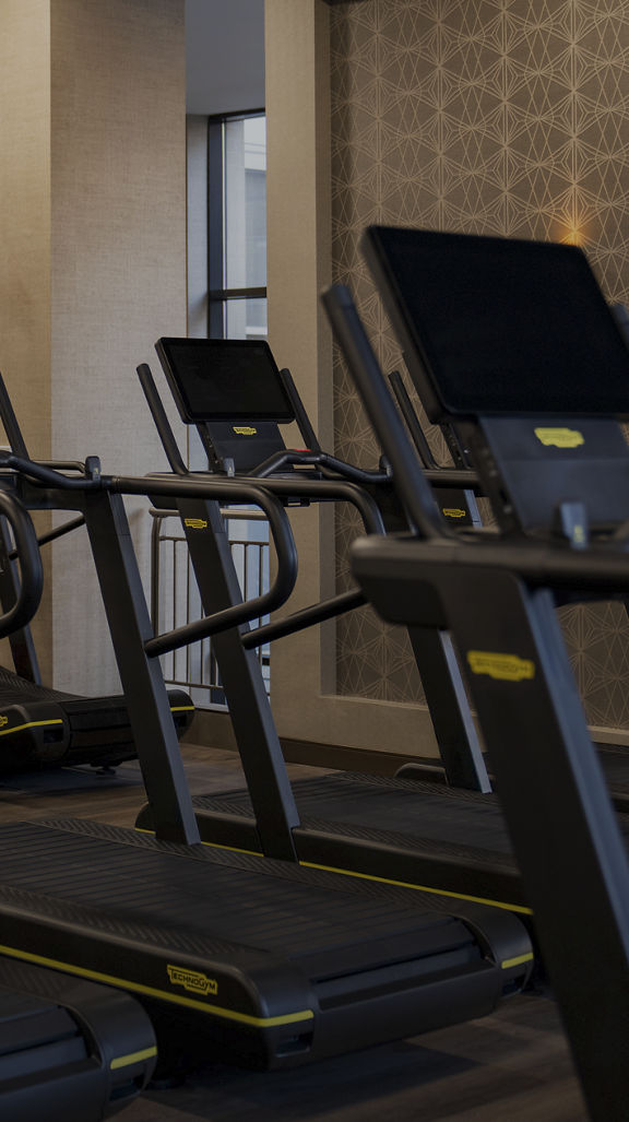treadmills on fitness floor
