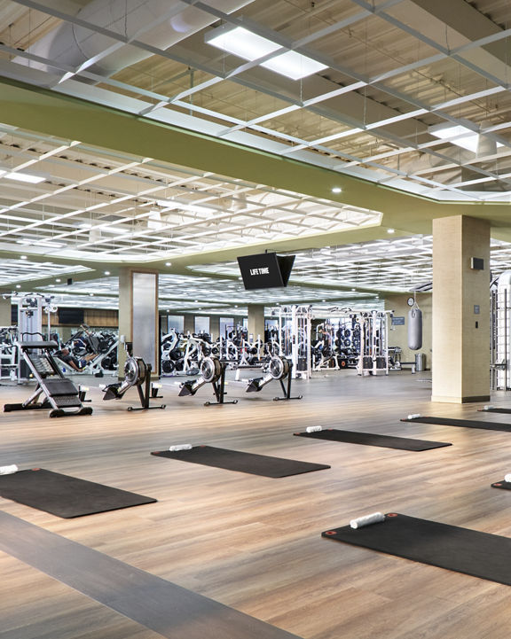 Fitness floor filled with various strength and cardio machines