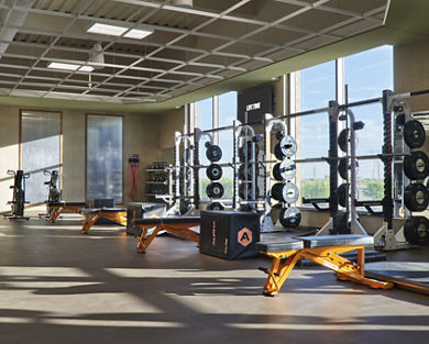 Alpha metcon hot sale lifetime fitness