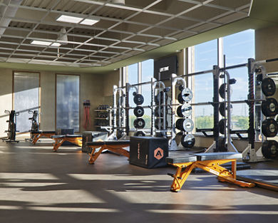 An Alpha training area with squat racks and stationary bikes