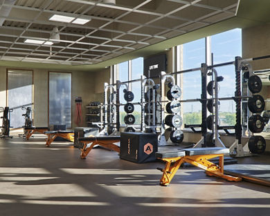 Alpha studio at Life Time