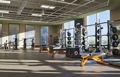 Alpha strength equipment on the fitness floor at Life Time