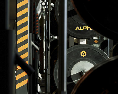 Close-up of Alpha branded weights