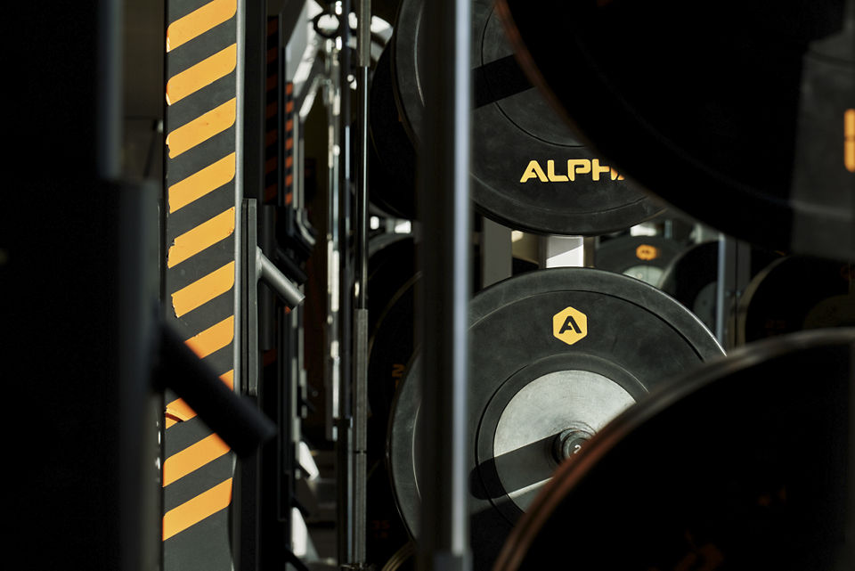 Close-up of Alpha branded weights