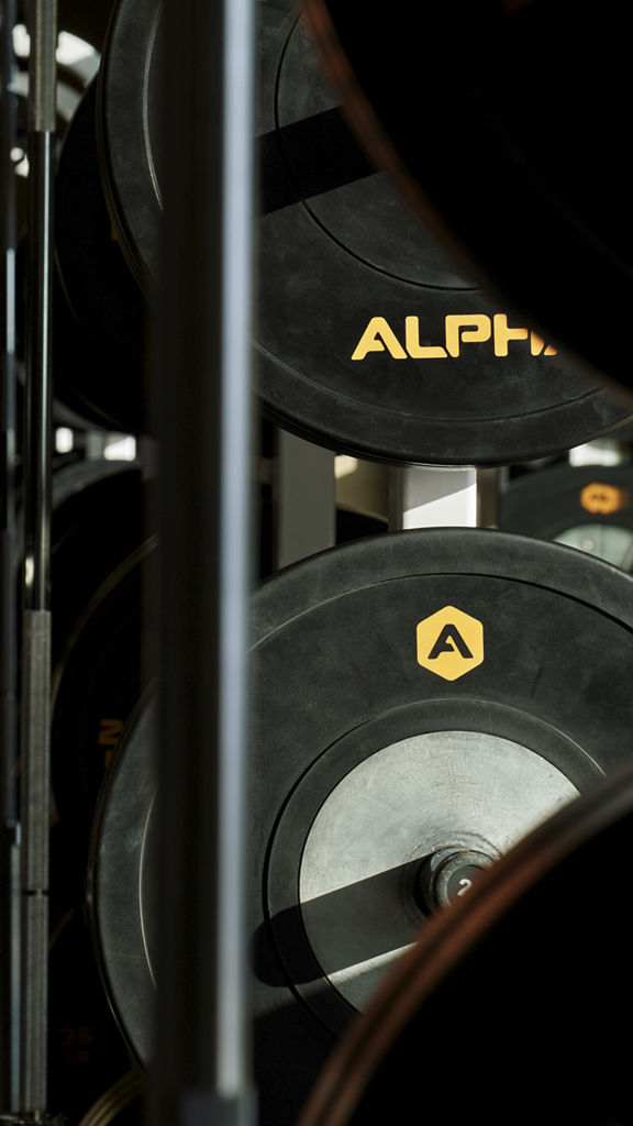 Close-up of Alpha branded weights