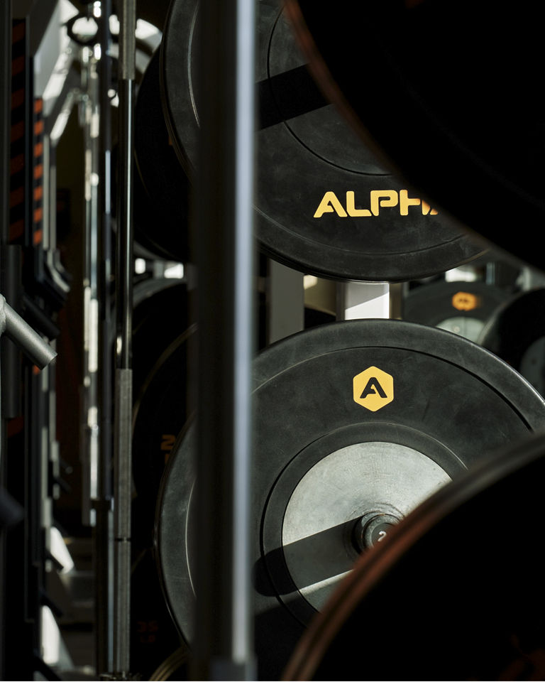 A close up of the weights on an Alpha squat rack
