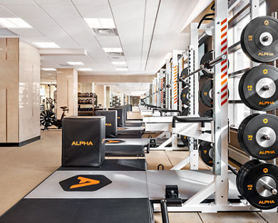 Alpha small group training area on the fitness floor