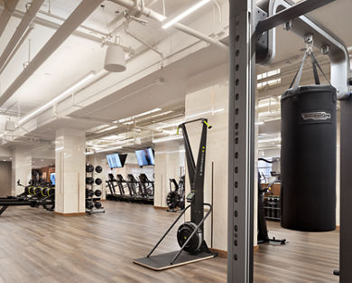 Fitness floor filled with various strength and cardio machines