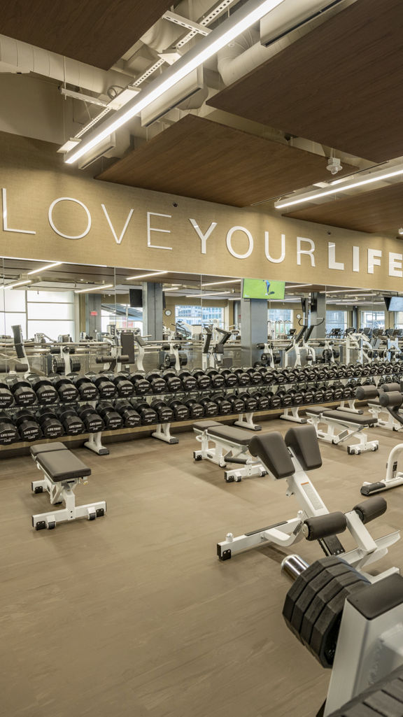 Free weight area with many weight lifting options at Life Time