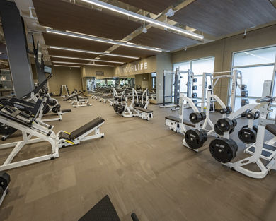 Strength equipment on the fitness floor at Life Time
