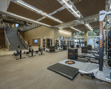 Alpha studio at Life Time