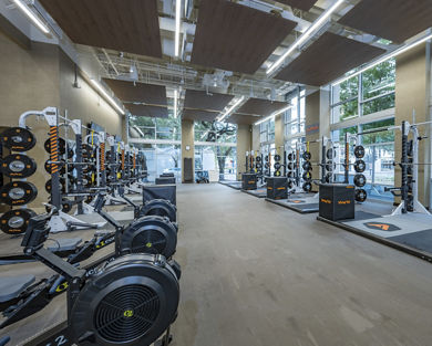 Alpha studio at Life Time