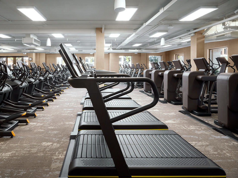 Fitness floor focusing on row of treadmills.