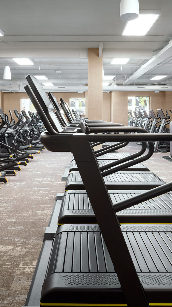 Fitness floor focusing on row of treadmills.