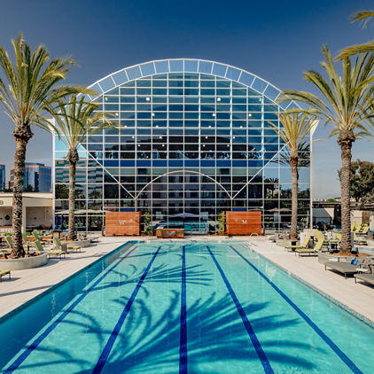outdoor lap pool with palm trees