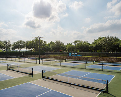 12 outdoor pickleball courts, surrounded by a stone wall and lush trees