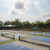12 outdoor pickleball courts, surrounded by a stone wall and lush trees