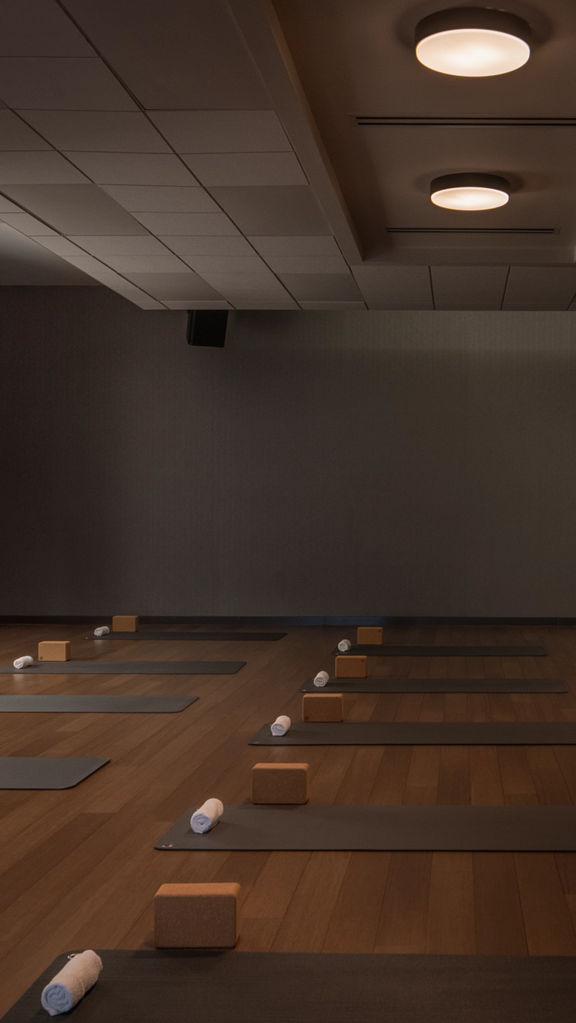 a low lit yoga room with rows of yoga mats