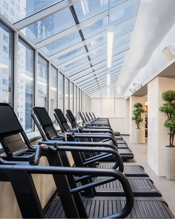 Brightly lit fitness floor with treadmills facing a row of windows