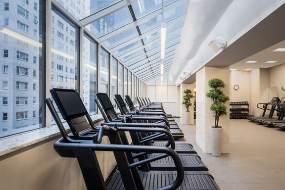 Brightly lit fitness floor with treadmills facing a row of windows