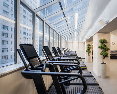 Brightly lit fitness floor with treadmills facing a row of windows