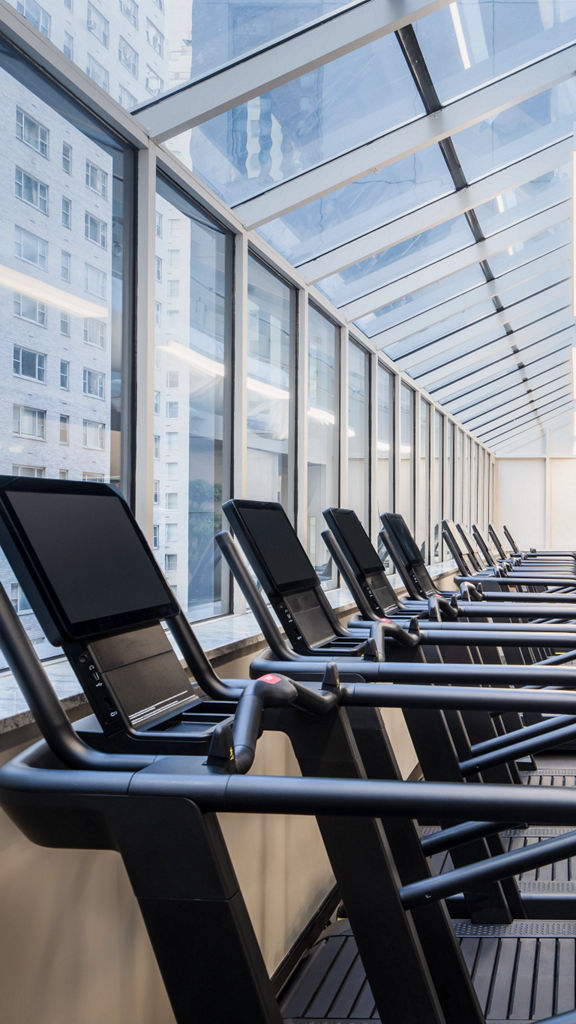 Brightly lit fitness floor with treadmills facing a row of windows