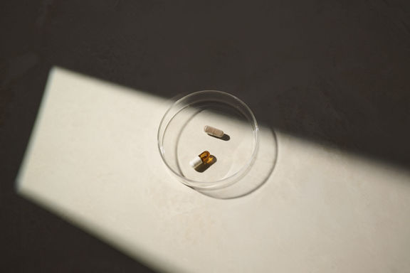 Two capsules placed inside a glass petri dish