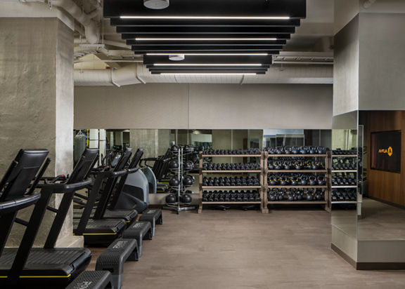 Fitness floor filled with treadmills, dumbbells and kettlebells on racks