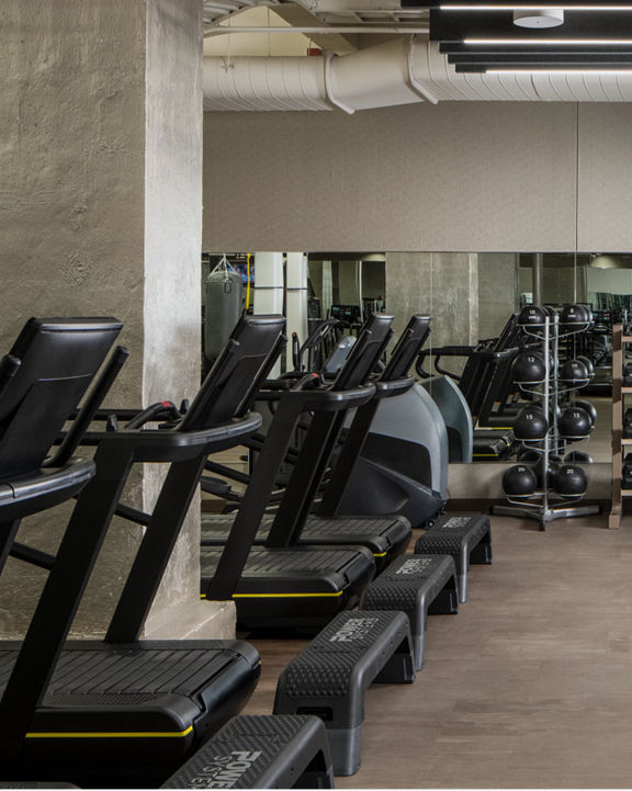 Fitness floor filled with treadmills, dumbbells and kettlebells on racks