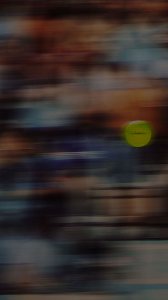 l t pickleball flying in the air