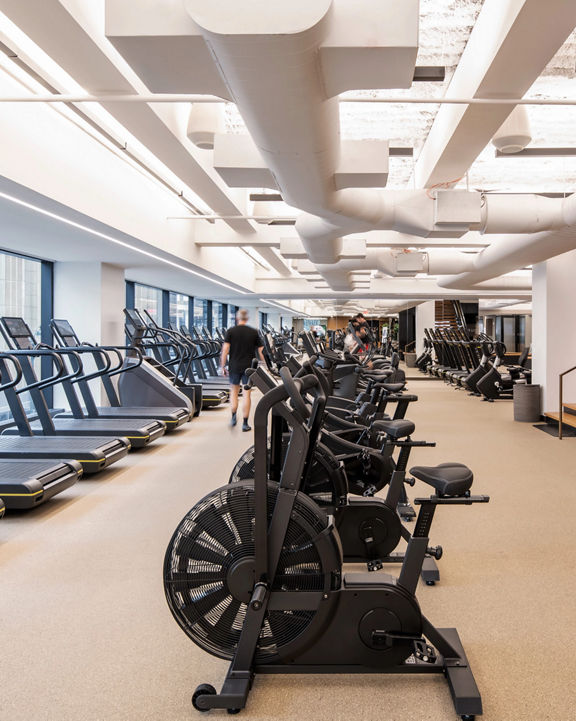 Cardio equipment on the fitness floor at Life Time