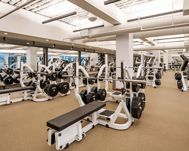 Strength equipment on the fitness floor at Life Time