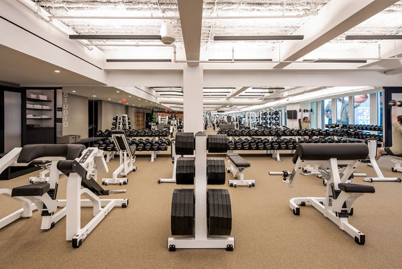 Strength equipment on the fitness floor at Life Time