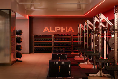 Alpha small group training area on the fitness floor